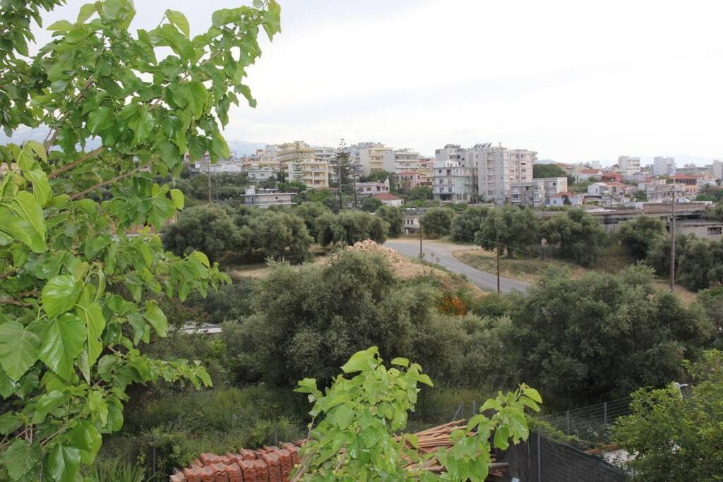 Άνετο Και Πολυτελές Οροφοδιαμέρισμα 2 Chania  Exteriör bild